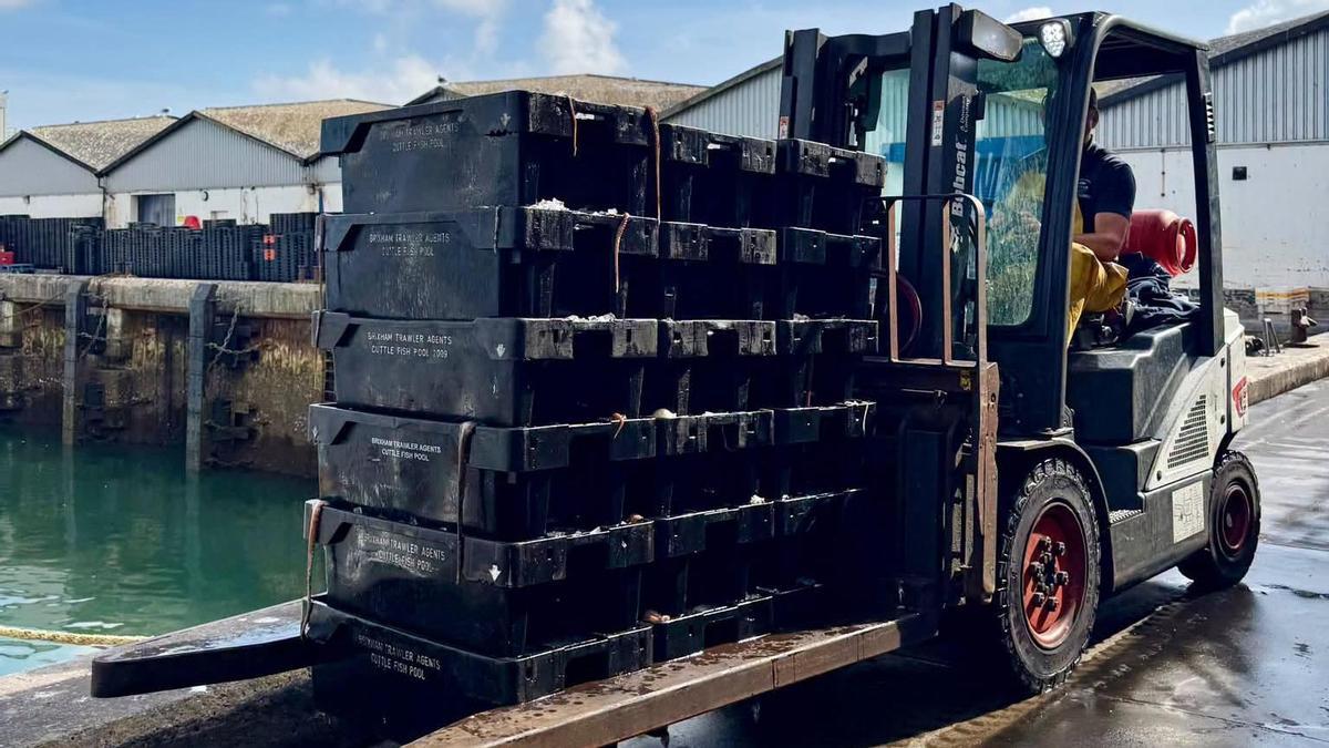 Reino Unido dispara sus exportaciones de la «plaga» de pulpo con España como principal comprador