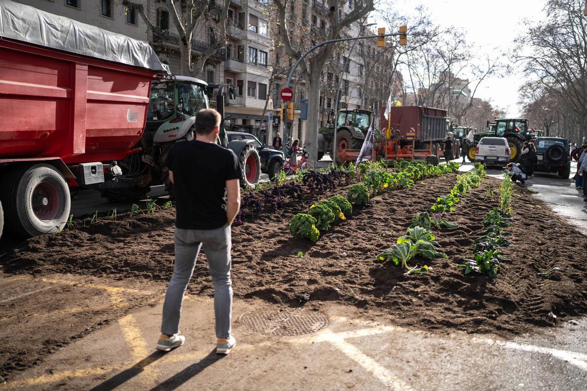 Tractorada en el centro de Barcelona, este viernes.
