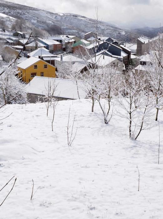 Un manto blanco de nieve cubre el interior de Lugo