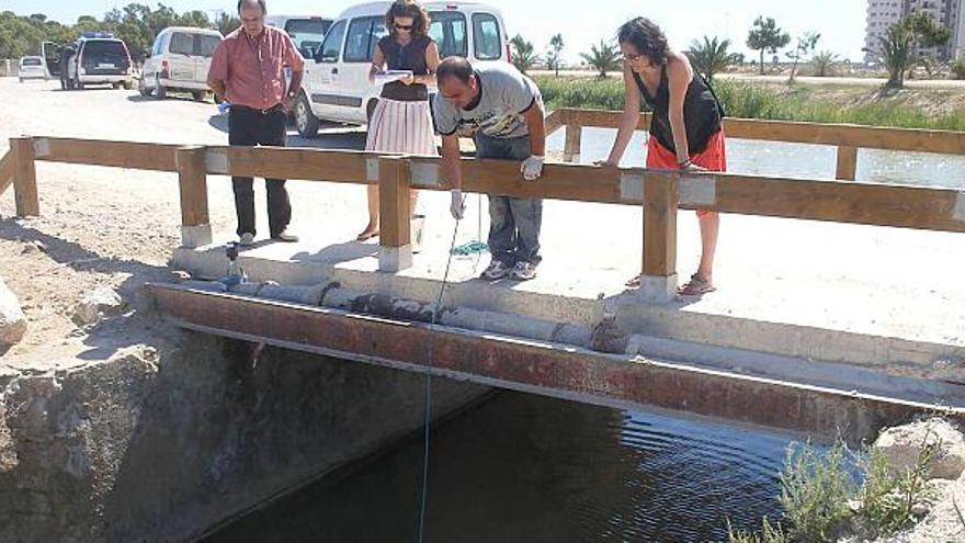 La Confederación descubre insecticidas y pesticidas en el último vertido al Segura