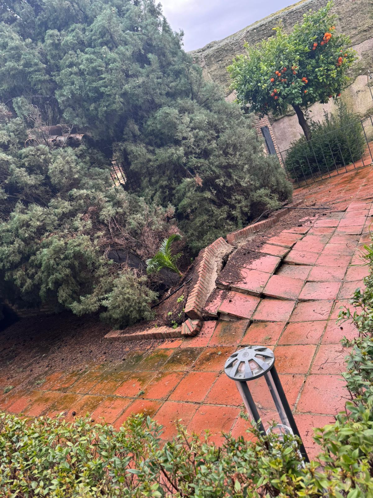 Desperfectos provocados por la lluvia en Palma del Río.
