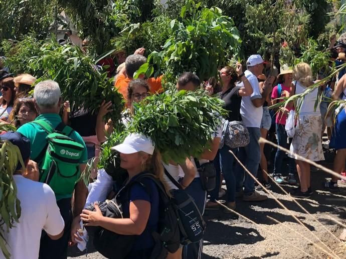 La Rama inunda El Valle de Agaete