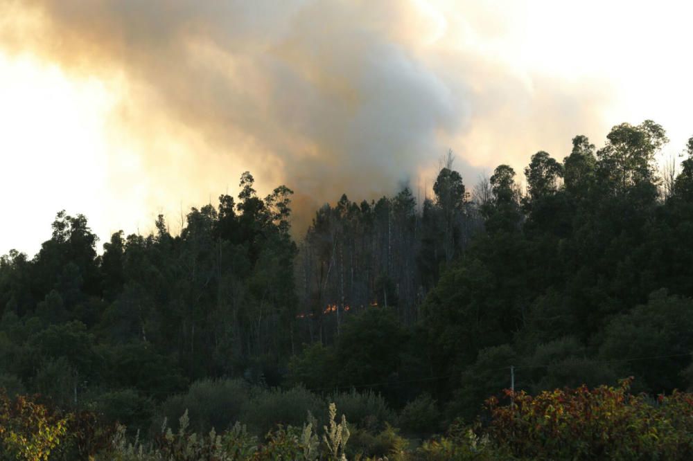 El monte arde en Covelo