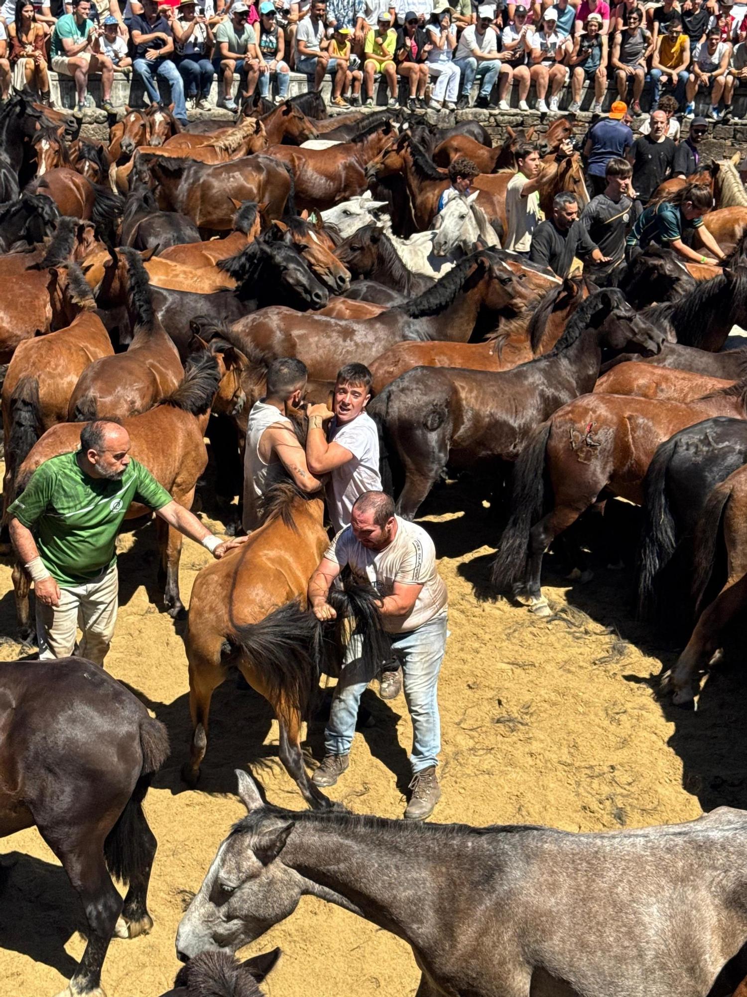 Sabucedo celebra su primera rapa como BIC