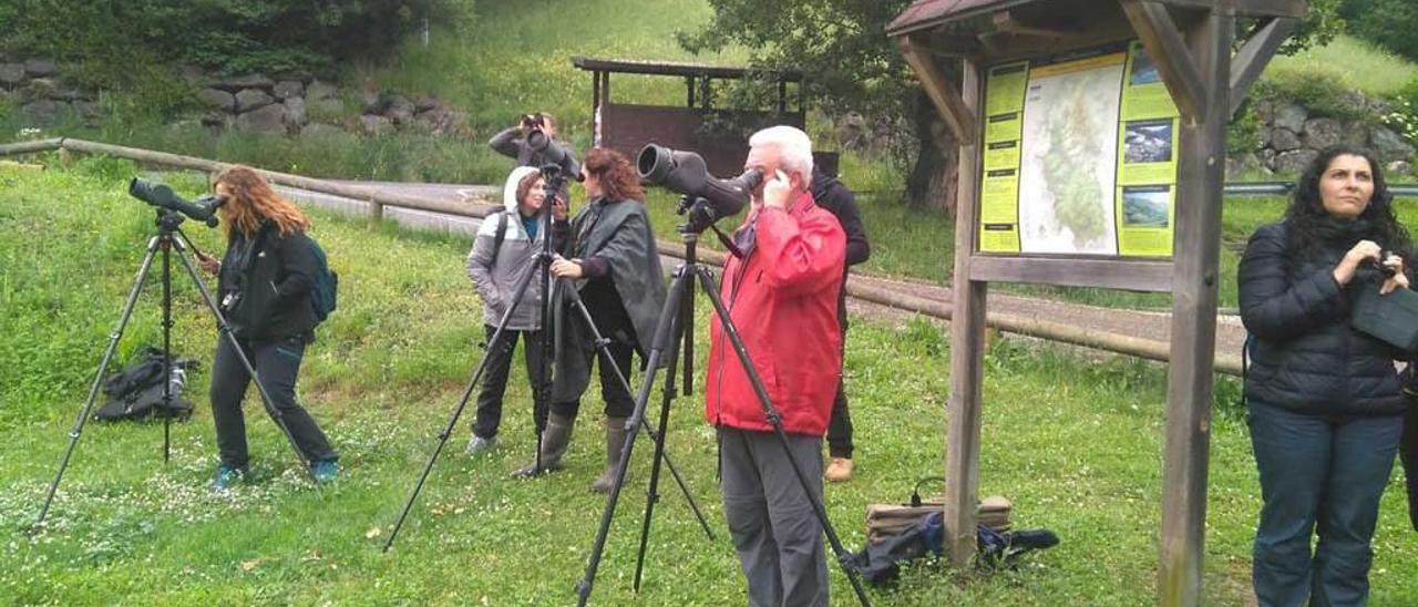 Hosteleros de Lena, durante la actividad de observación realizada ayer en el parque natural de las Ubiñas.
