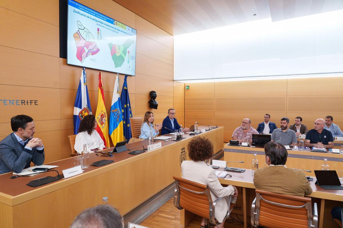 La presidenta del Cabildo de Tenerife, Rosa Dávila, durante la reunión con los ayuntamientos