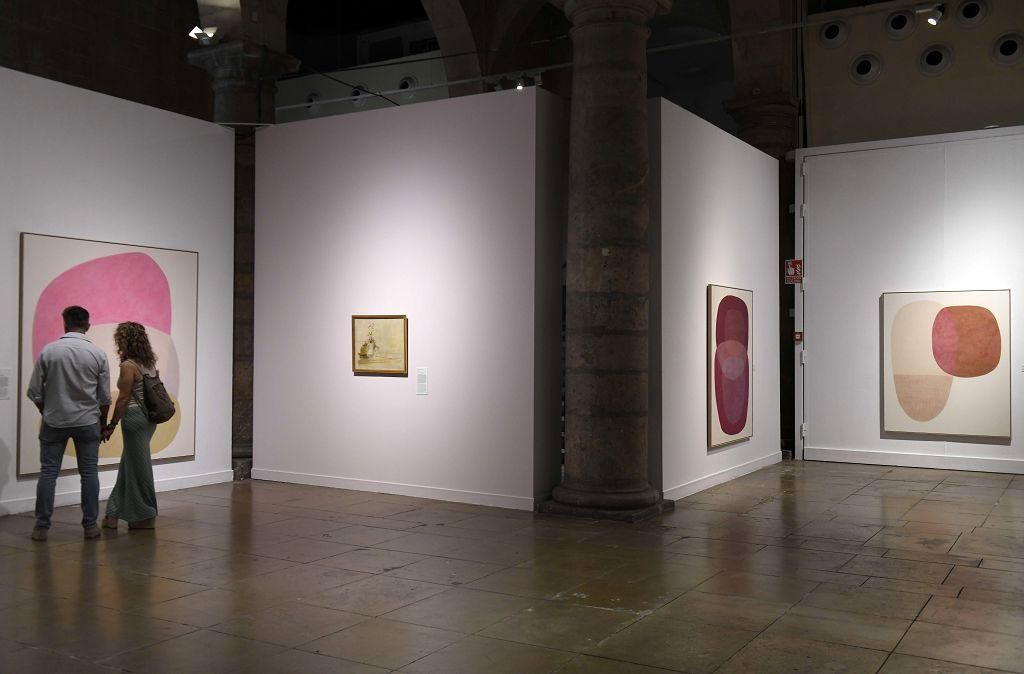 Así se ha vivido La Noche de los Museos de Murcia