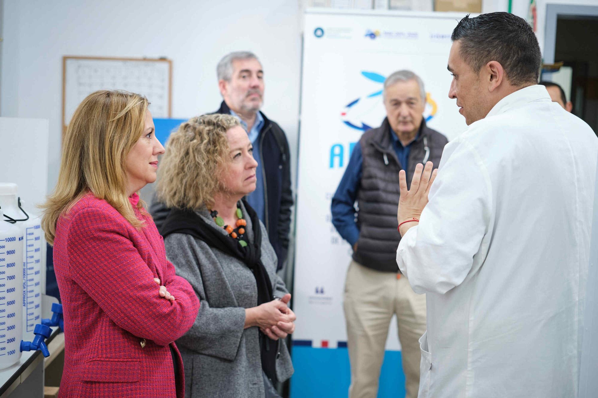 Fernando Clavijo visita el Instituto de Enfermedades Tropicales