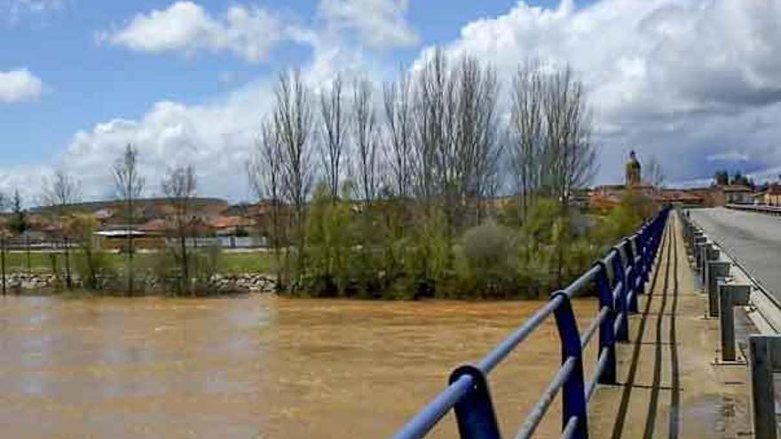 El Órbigo en Santa Cristina de la Polvorosa.