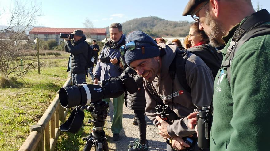 La afición ornitológica crece en Villaviciosa: el centro de interpretación de la ría ofrece ahora visitas todos los sábados para atender la demanda