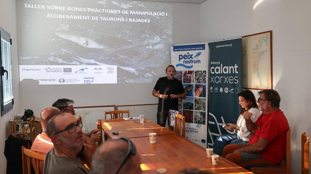 Taller de liberación de tiburones y rayas en Ibiza