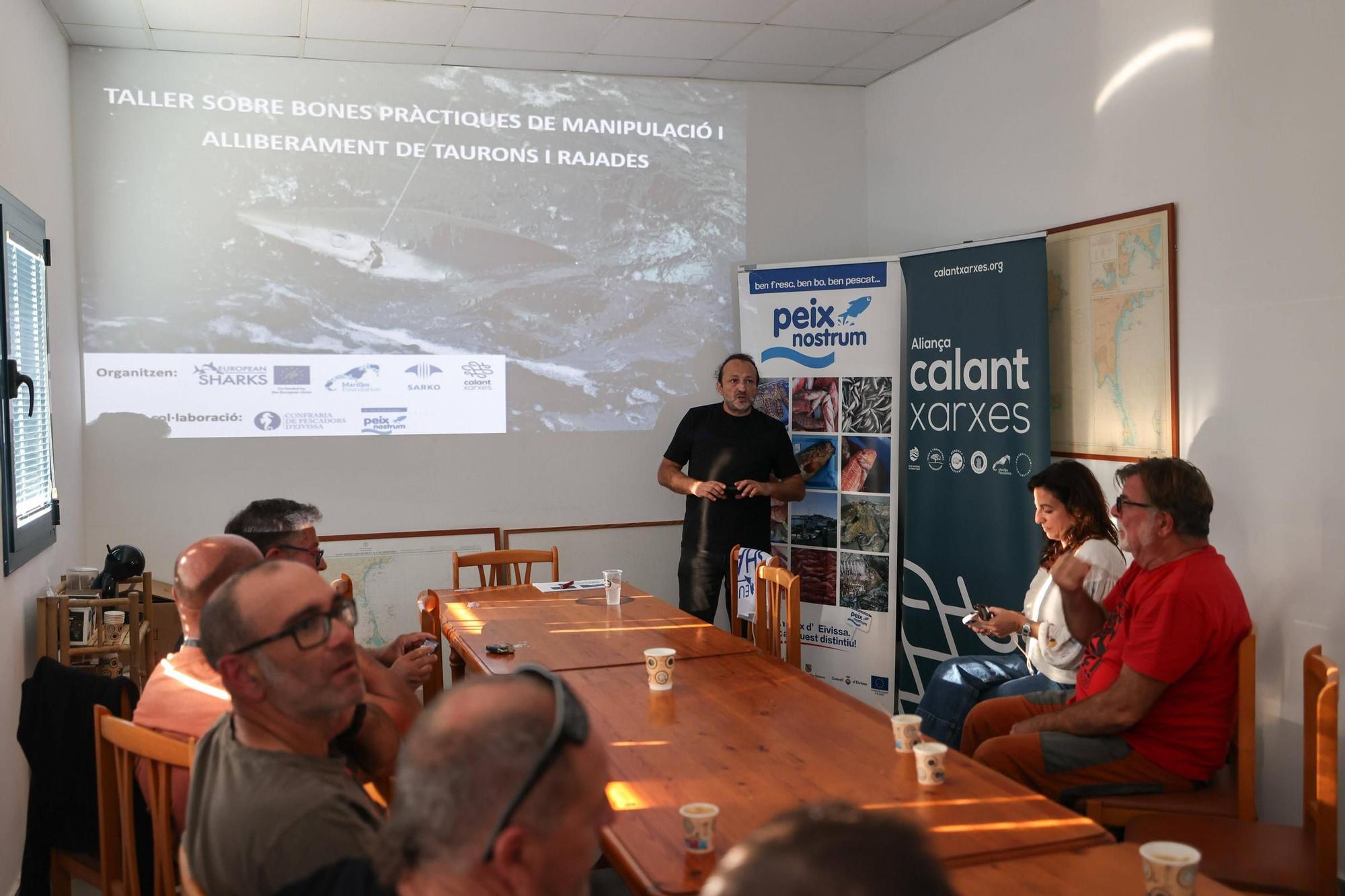 Taller de liberación de riburones y rayas en Ibiza