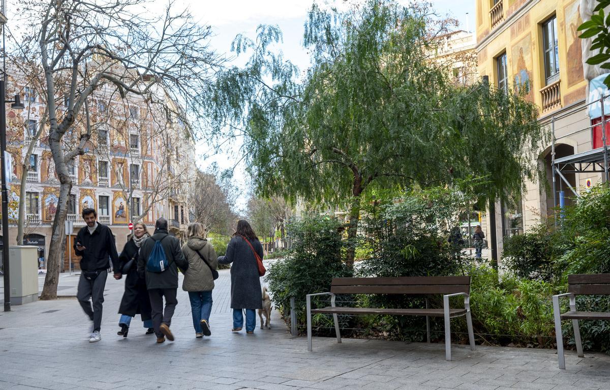 La tercera fila de árboles de Consell de Cent, a la altura de Roger de Llúria.