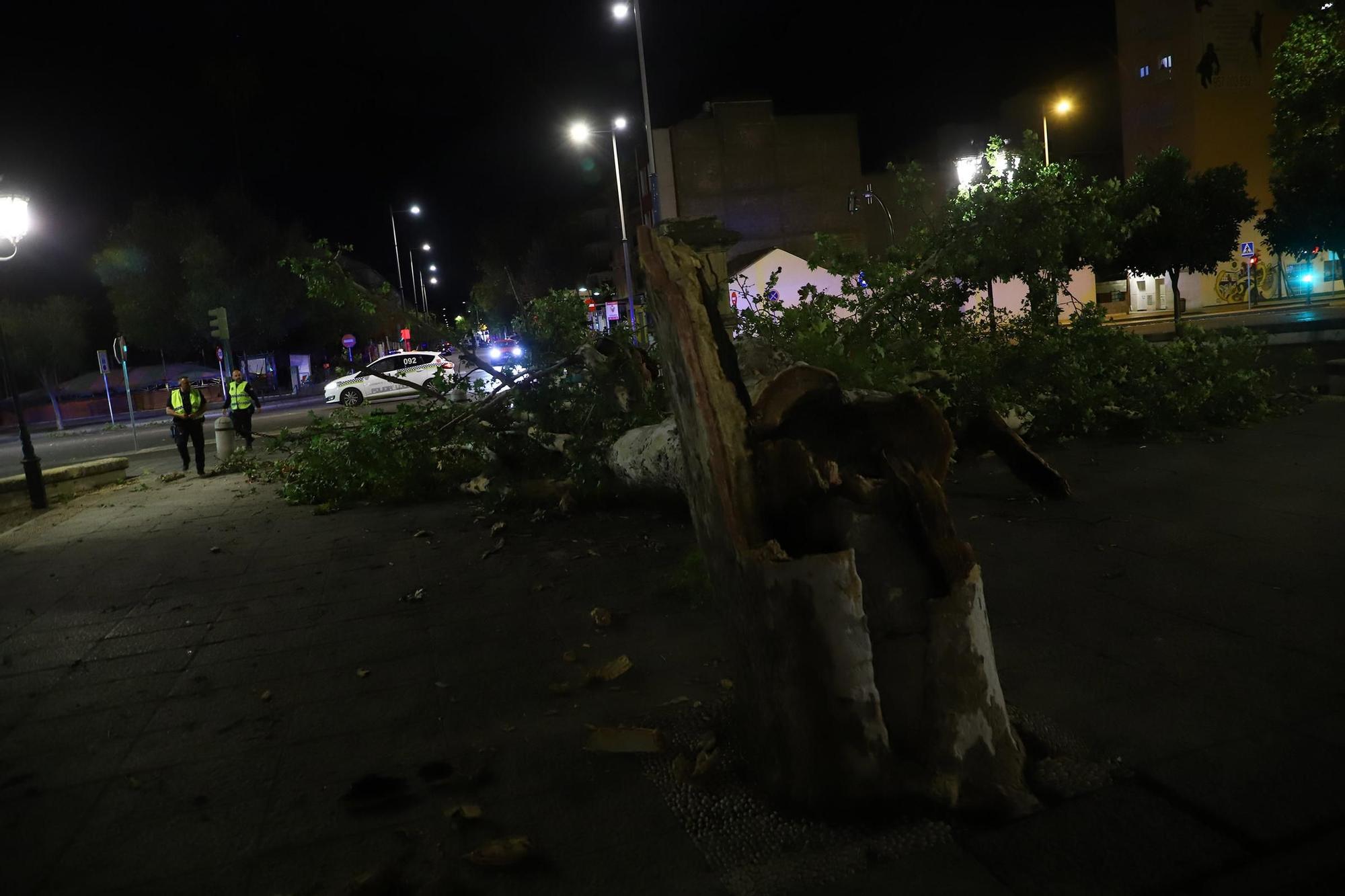 Los efectos del temporal en Córdoba, en imágenes