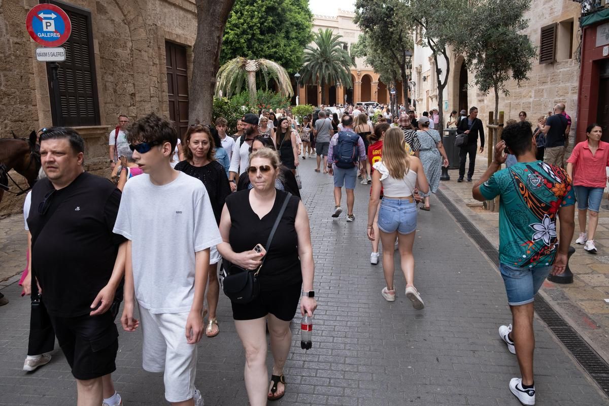 Las fotos del colapso en Palma que ha suturado calles, aparcamientos, buses y servicio de taxi