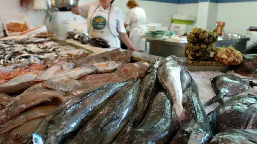 Puesto de venta de pescado, con varias merluzas en primer término, en una pescadería gallega. / de arcos