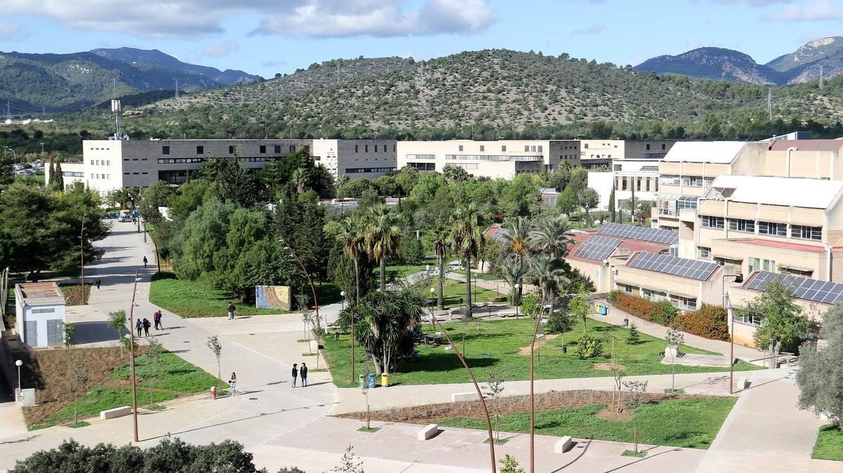 Alle Sprachkurse werden auf dem Campus der UIB in Palma angeboten