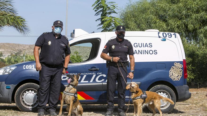 Interior premia a dos perros de la Unidad de Guías Caninos de Alicante