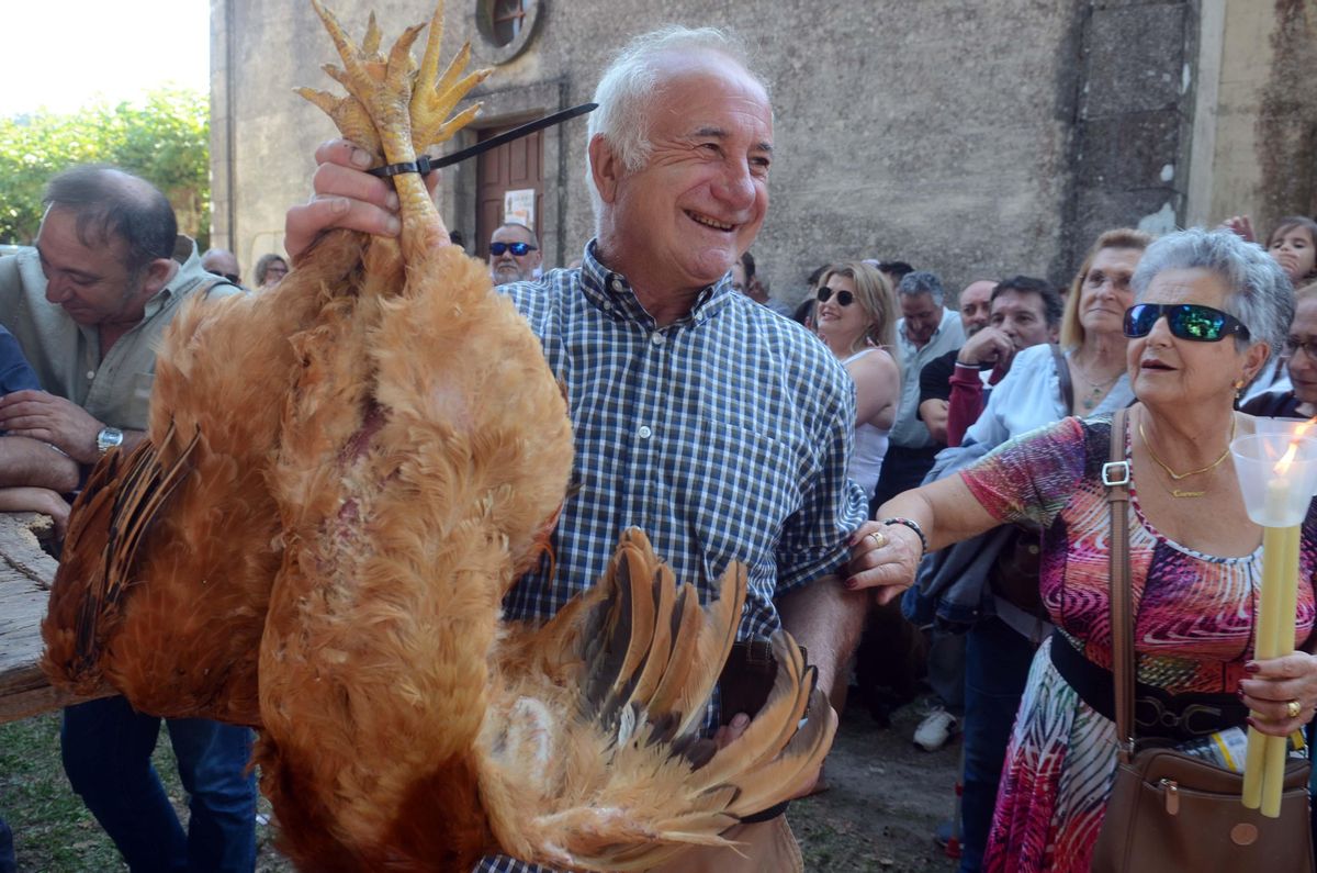 Un hombre muestra los gallos que adquirió en la subasta de Lores