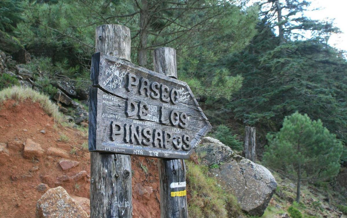 Paseo del Pinsapar, característico por el color rojizo que da nombre al paraje natural de Sierra Bermeja. | LA OPINIÓN