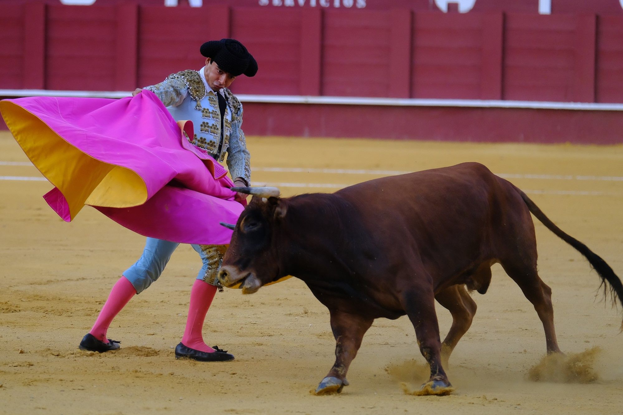 Toros en la Feria | Novena corrida de abono en La Malagueta: 3ª Semifinal de las Escuelas Taurinas