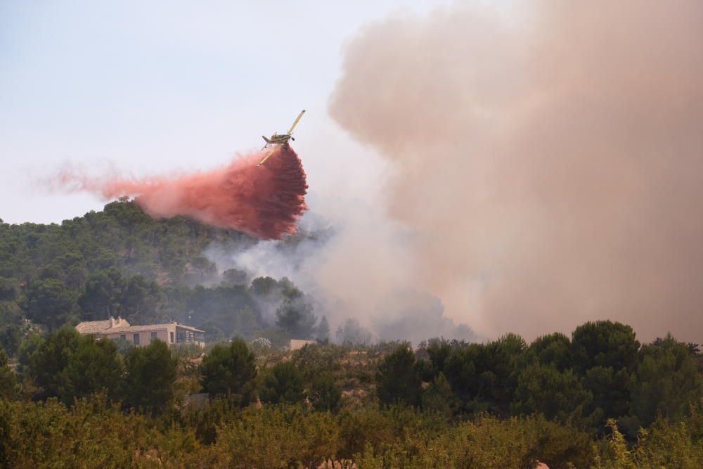 El fuego se ha originado al mediodía en la pedanía de La Romaneta y amenaza con extenderse por el monte y afectar a varias casas de campo.