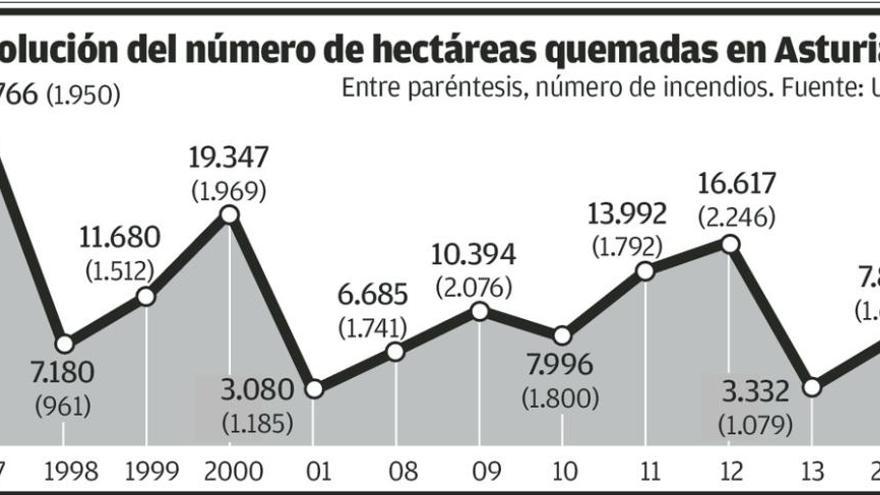 &quot;El pastoreo en zonas quemadas evitará que Asturias sea la selva&quot;, dicen los ganaderos