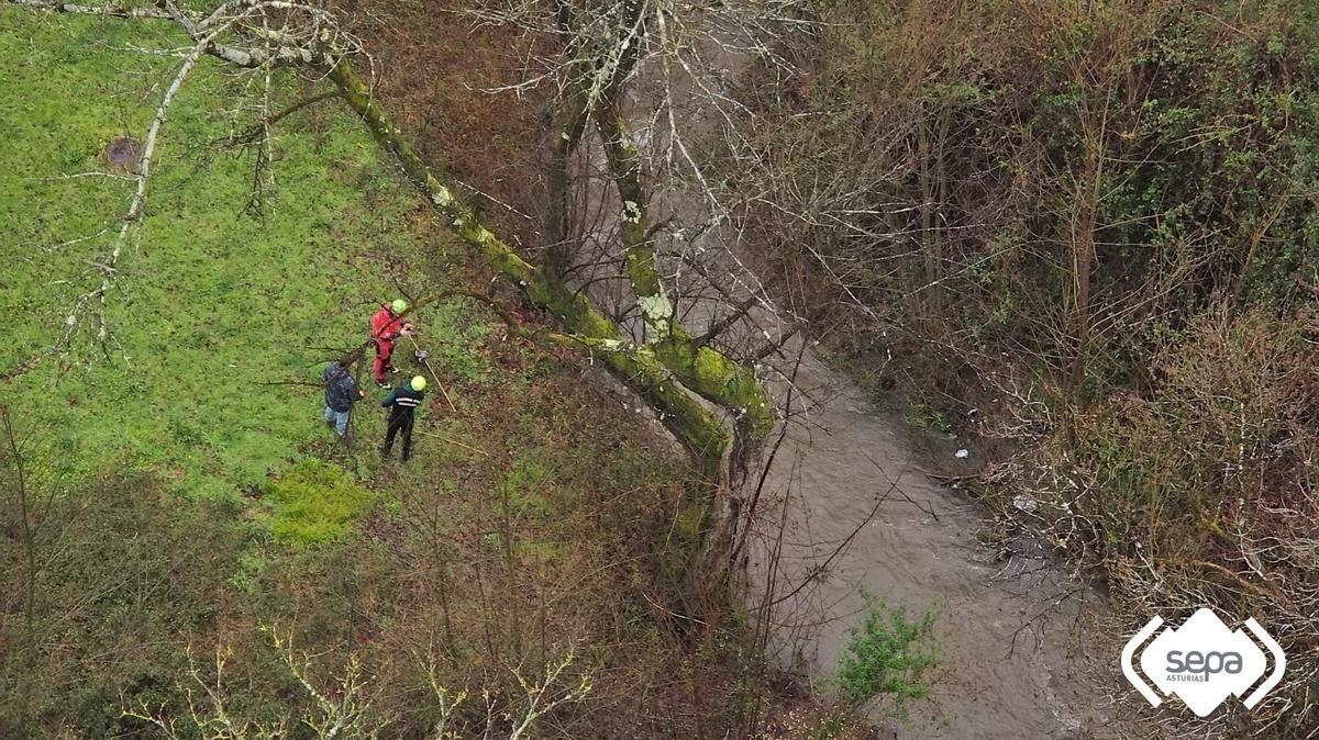 Así está siendo la búsqueda de la vecina de San Martín que cayó al río el viernes por la tarde