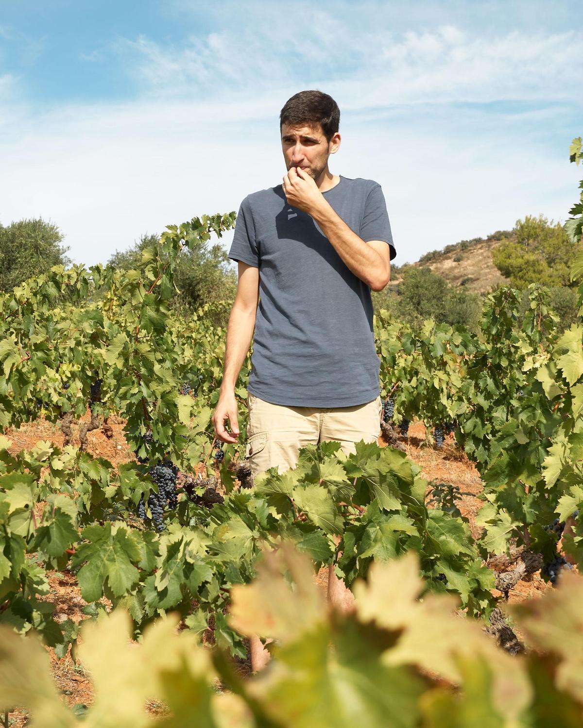 Terravinyada, se define como una propuesta "única" hecha con uva de una propia finca.