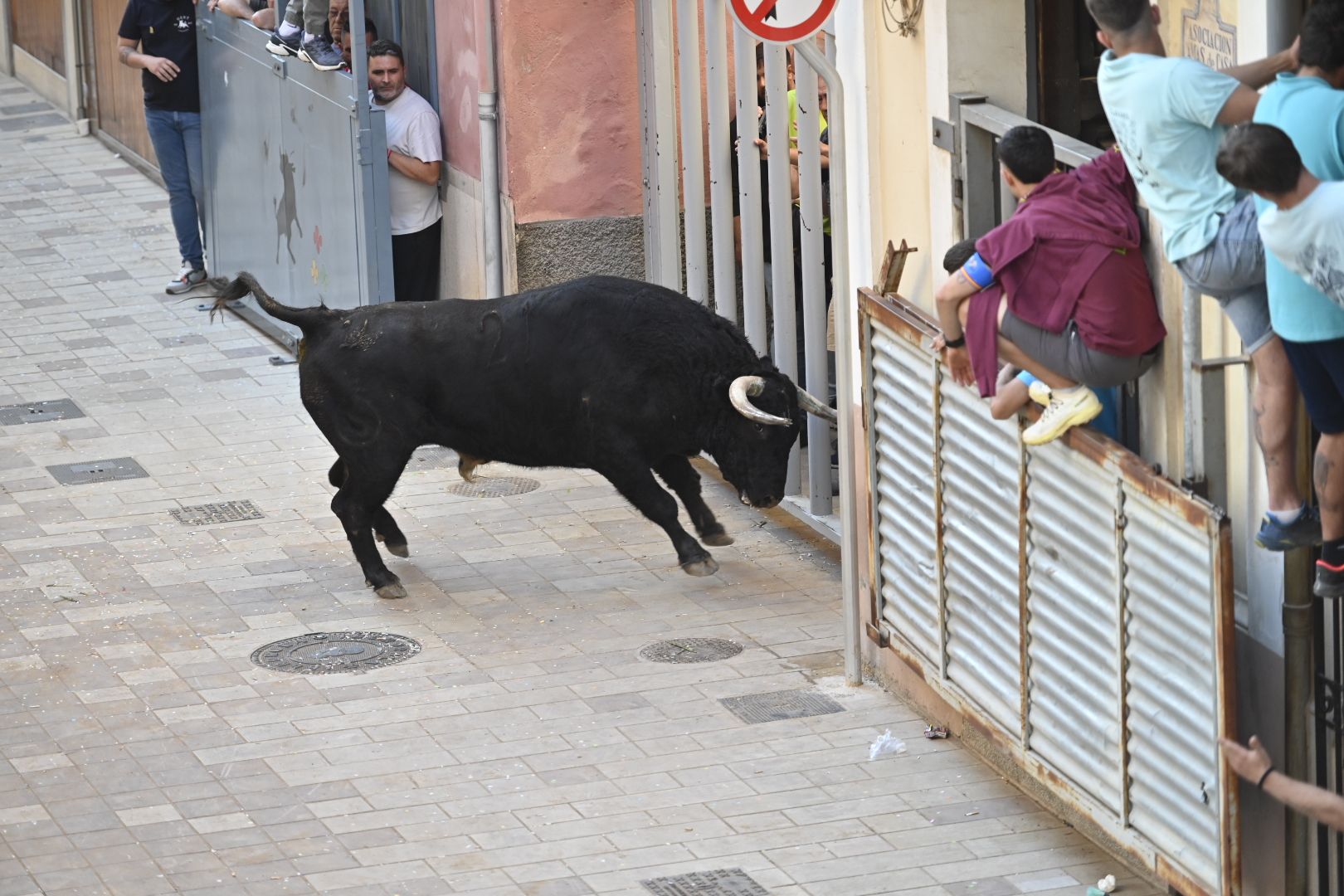 Galería | Primera tarde de toros en Almassora