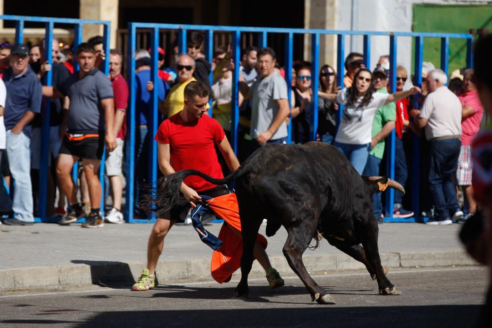 Encierro Urbano Bóveda de Toro