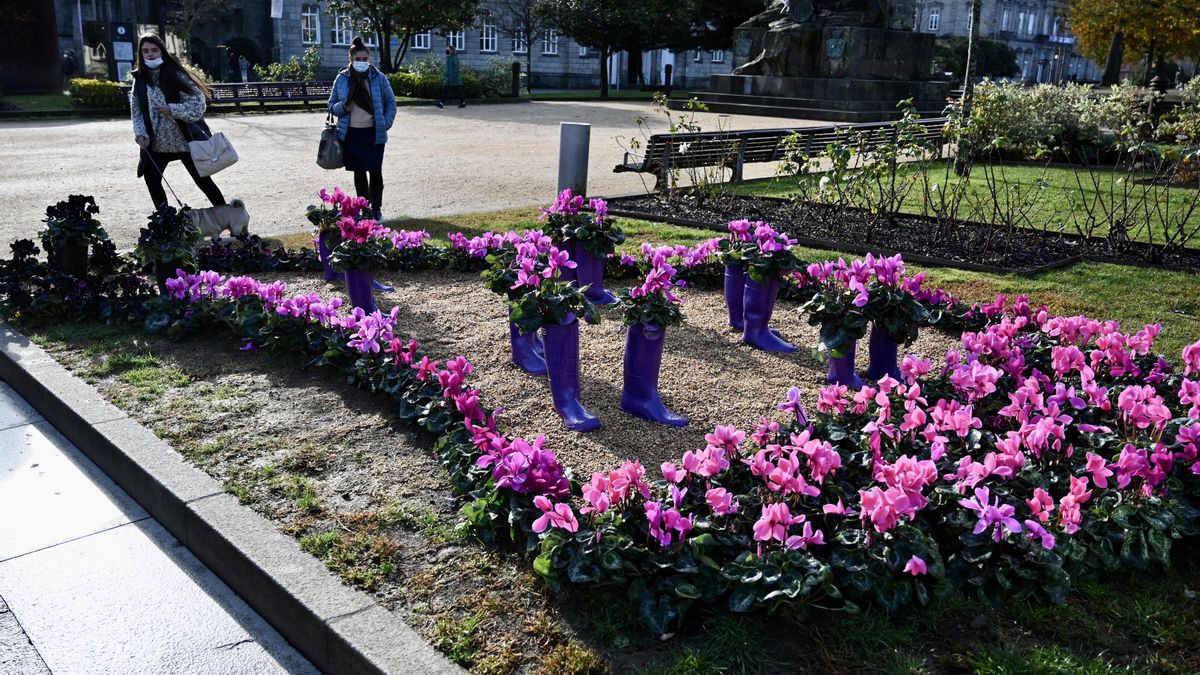 25N: Galicia salió a la calle vestida de morado