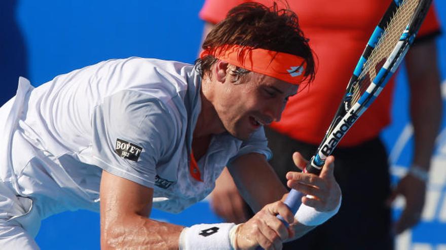 David Ferrer