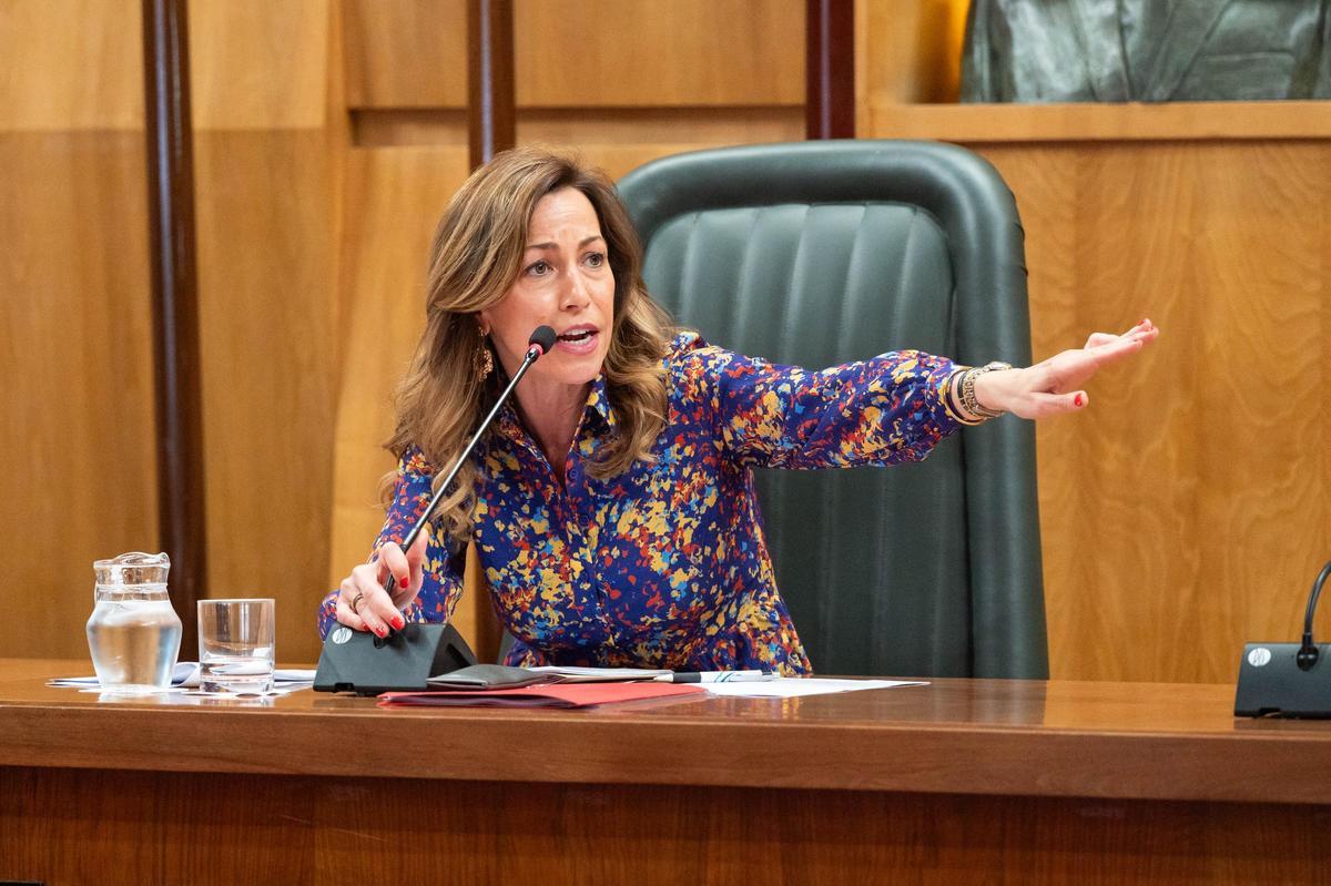 Natalia Chueca, en el pleno de este jueves.