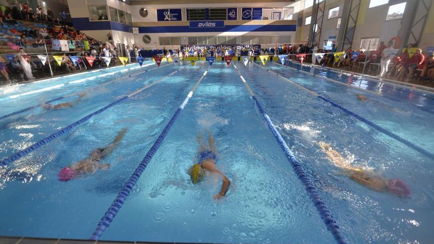 Más de 300 nadadores se darán cita en el Campeonato de España
