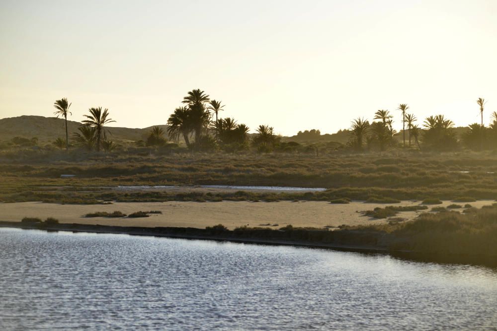 Entorno salinero del Rasall (Calblanque)