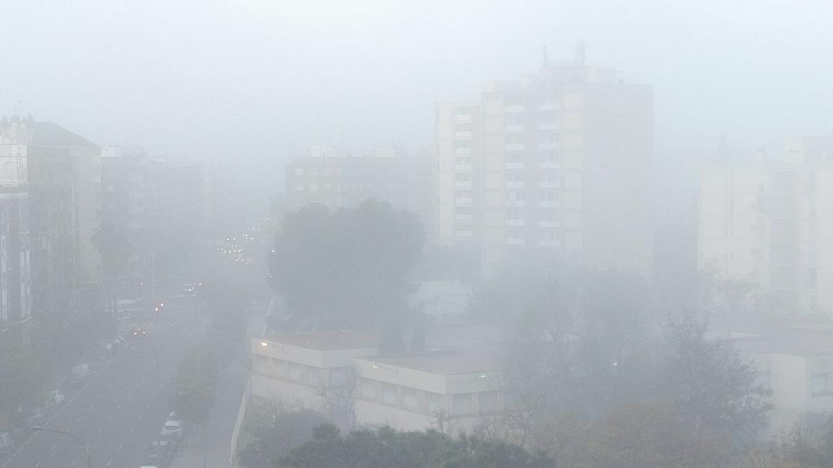 València ha amanecido hoy inmersa en una espesa niebla.