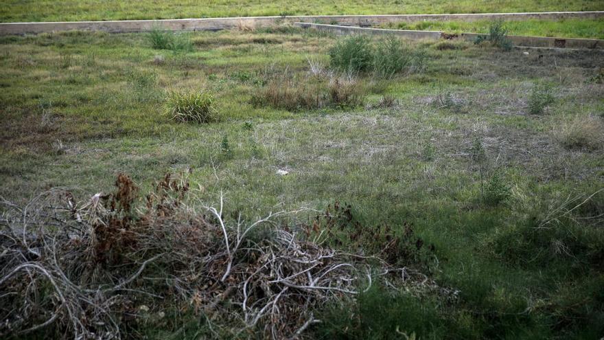 Campo abandonado en Alboraia