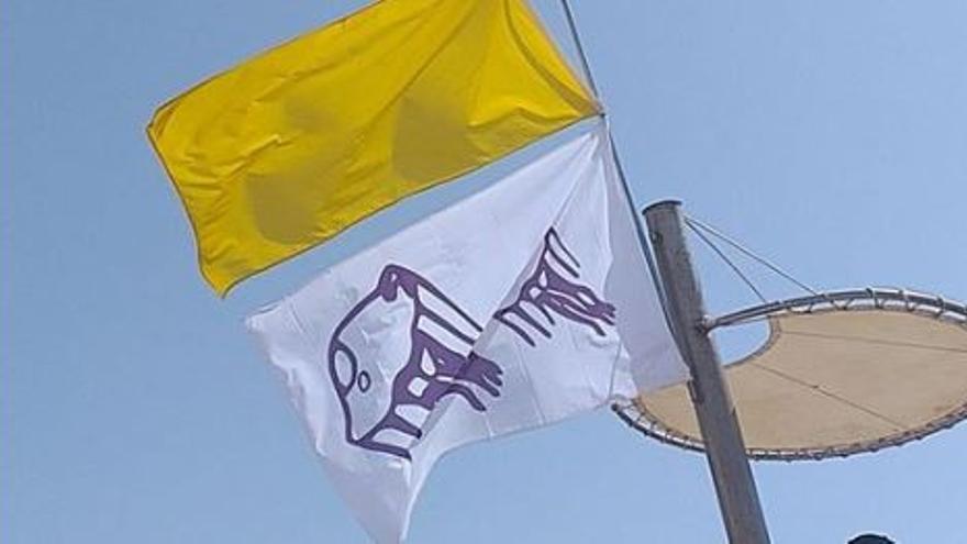 Bandera amarilla por medusas en Alboraia
