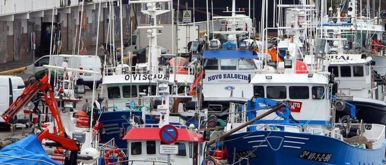 Flota cerquera, en el puerto de O Berbés en Vigo.