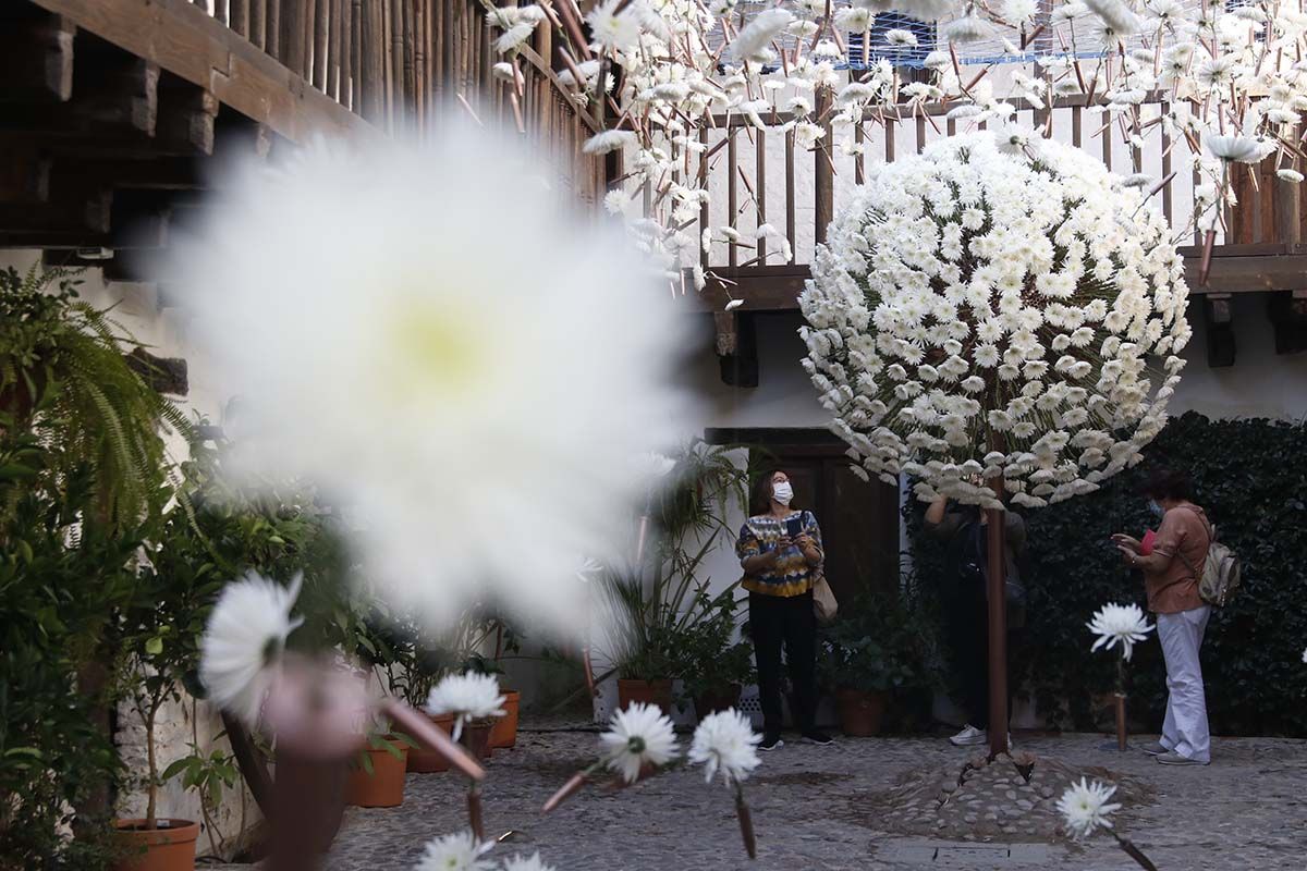 Instalación floral de la Posada del Potro