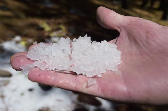 Efectos del temporal en cumbre y norte de la isla