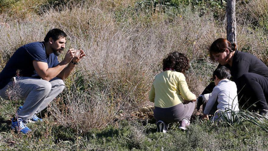 Acció Ecologista-Agró Horta Nord celebra este sábado el Día del Arbusto