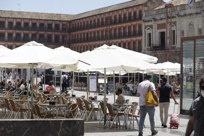 Al Zahara insiste al Ayuntamiento para que cree la Mesa de vía pública