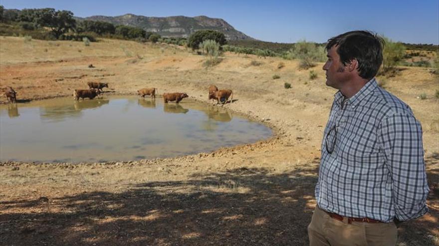 SOS en el campo de Extremadura