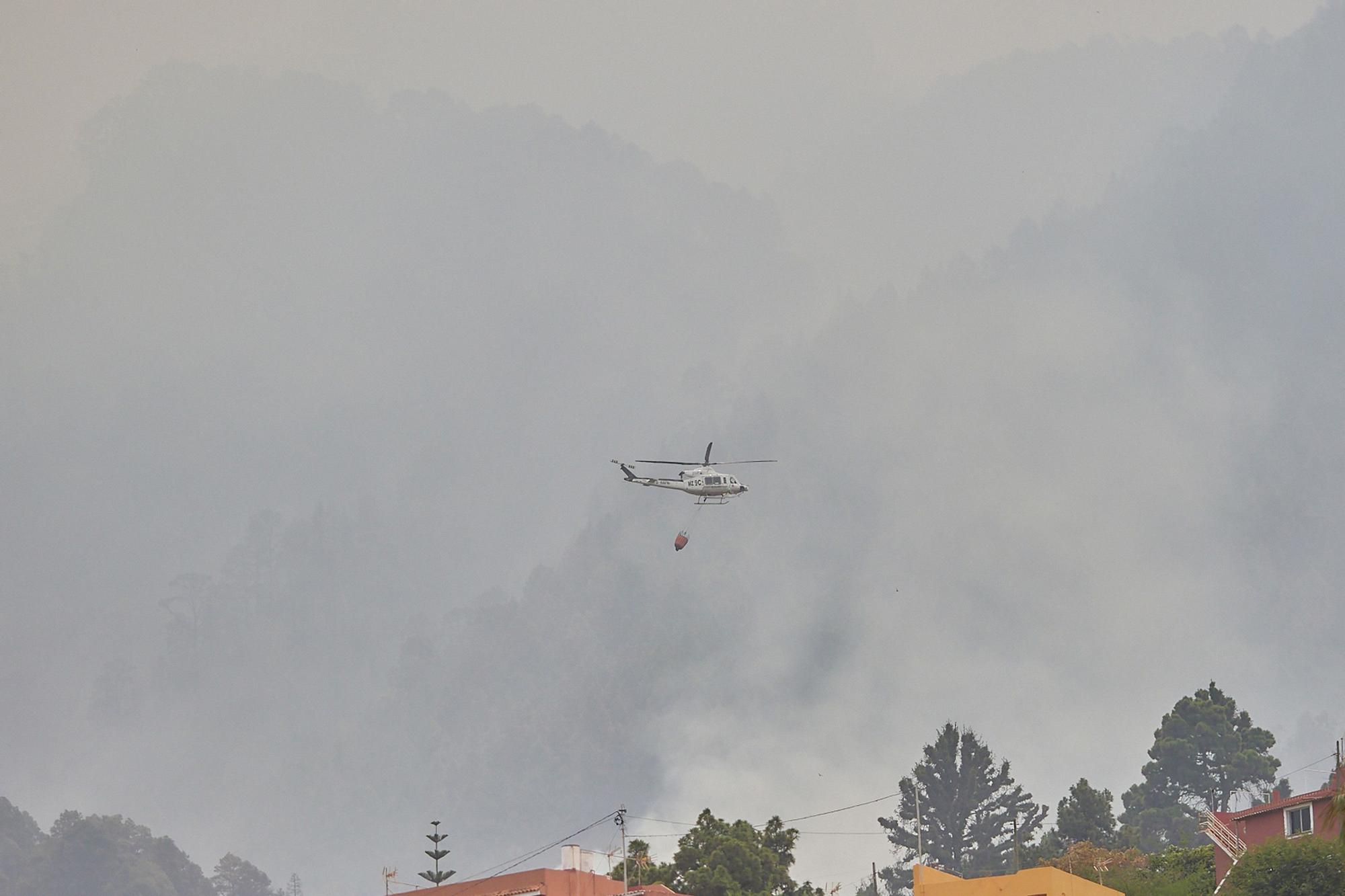 L'incendi forestal de Tenerife, en imatges