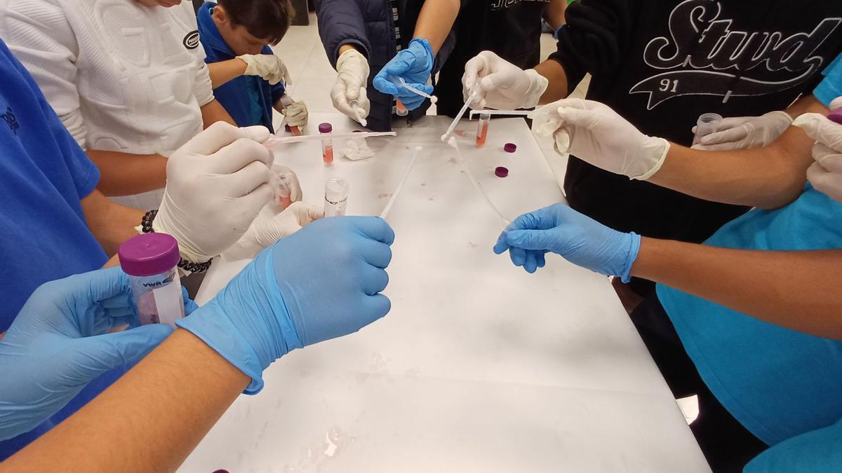 Amb elements casolans com sal, alcohol i sabó, l’alumnat va poder extraure l’ADN de les maduixes en un taller en què van aprendre per què la seqüència genètica és important, en una activitat divulgativa i també molt divertida.