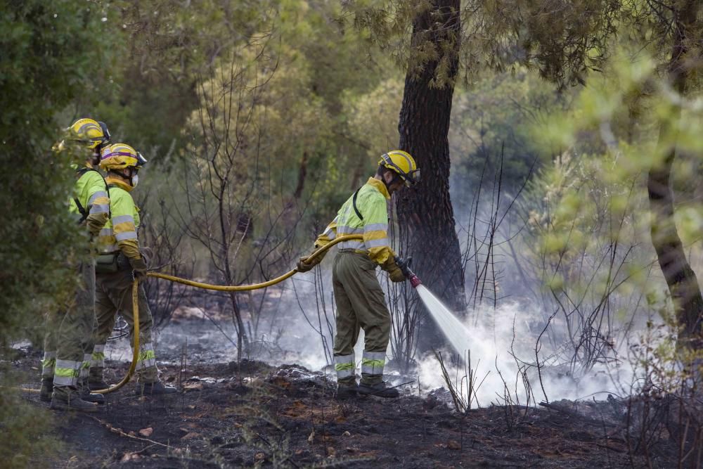 Incendio forestal en la zona el Pi d'Ambrosio de l'Ènova