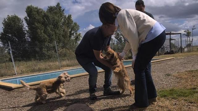 El centro funcionará las 24 horas del día durante todo el año y contará con personal cualificado.