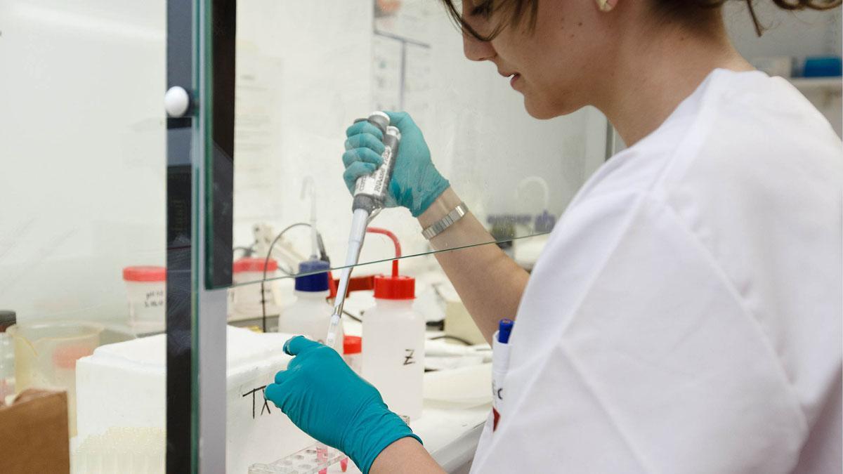 Laboratorio de Idibell. Laboratorio de Idibell.